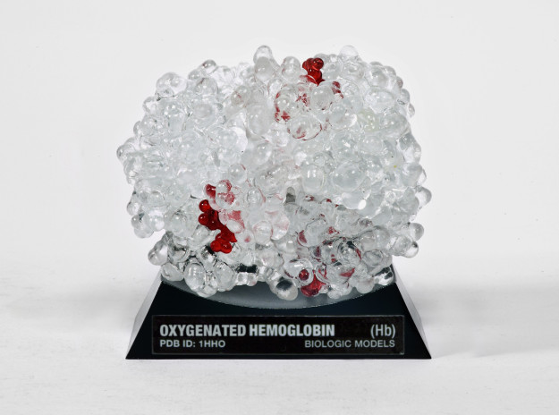 Oxygenated Hemoglobin Hb