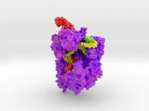 3D Print of CRISPR Cas9