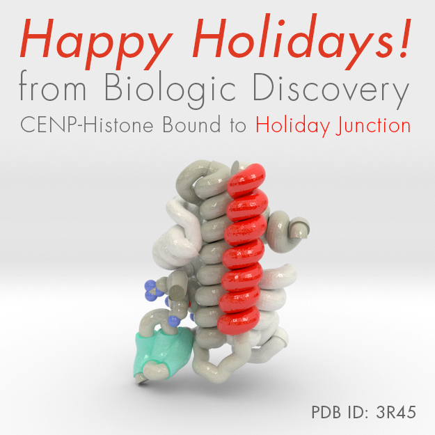 CERN-Histone Holiday Junction