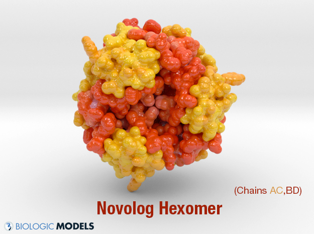 3D Print of Novolog Insulin Hexomer
