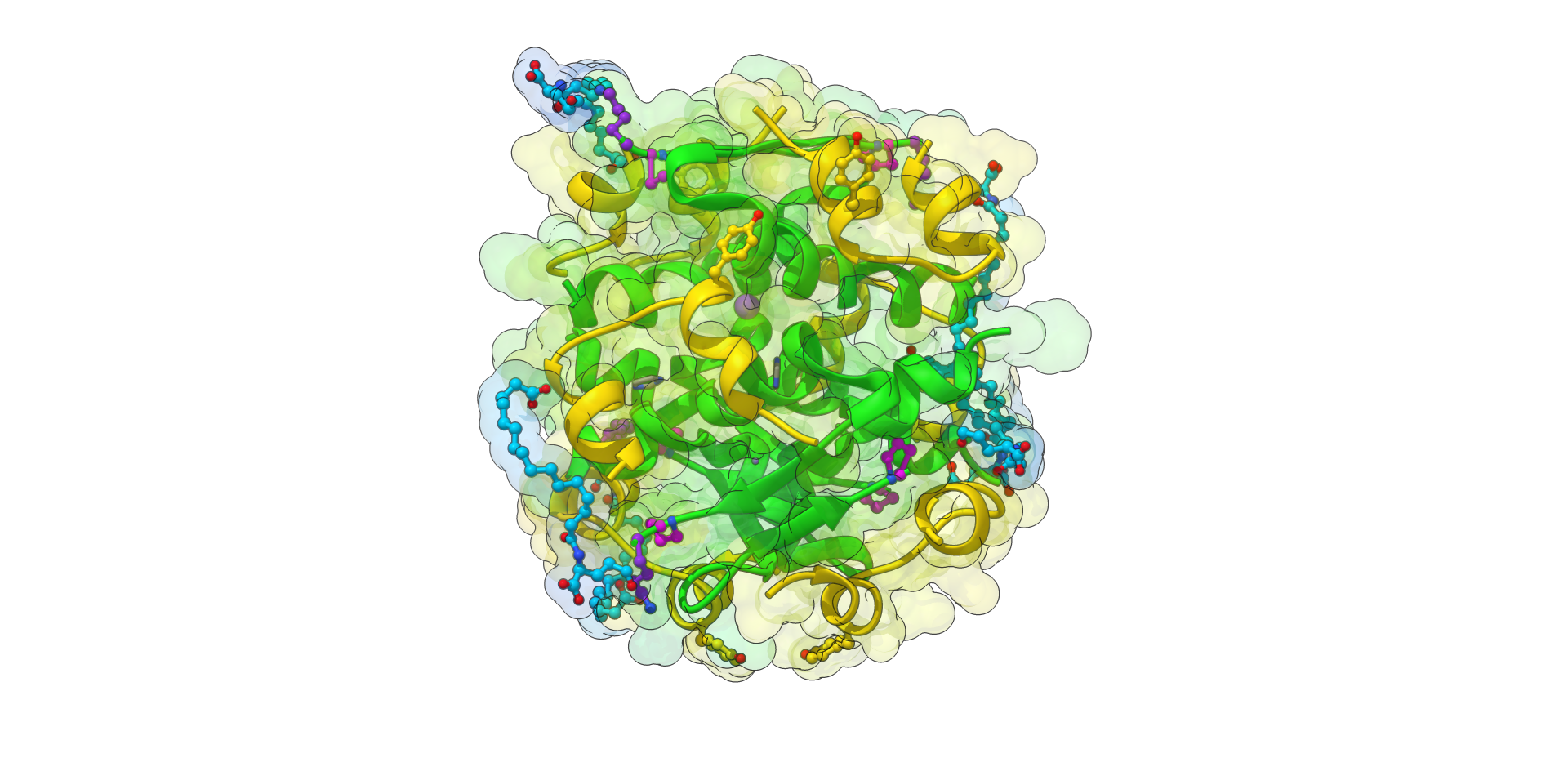 Tresiba Insulin Hexamer