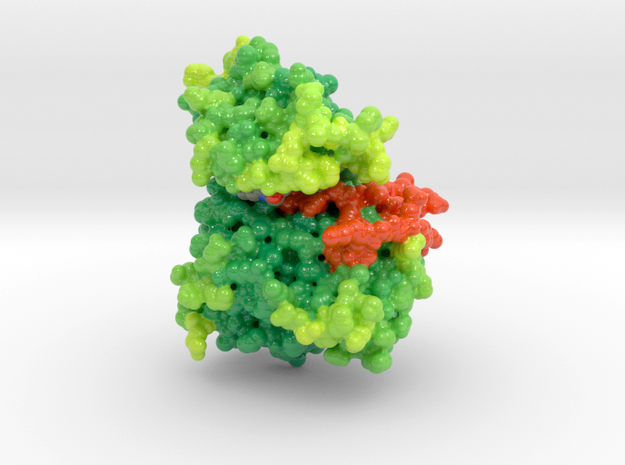 EGFR, Mutant, Biologic Models