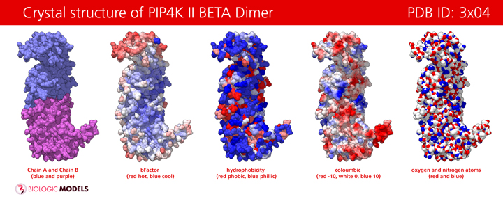 PIP4K, PIP4K2A, PIP4K2B, Biologic Models, Lewis Cantley