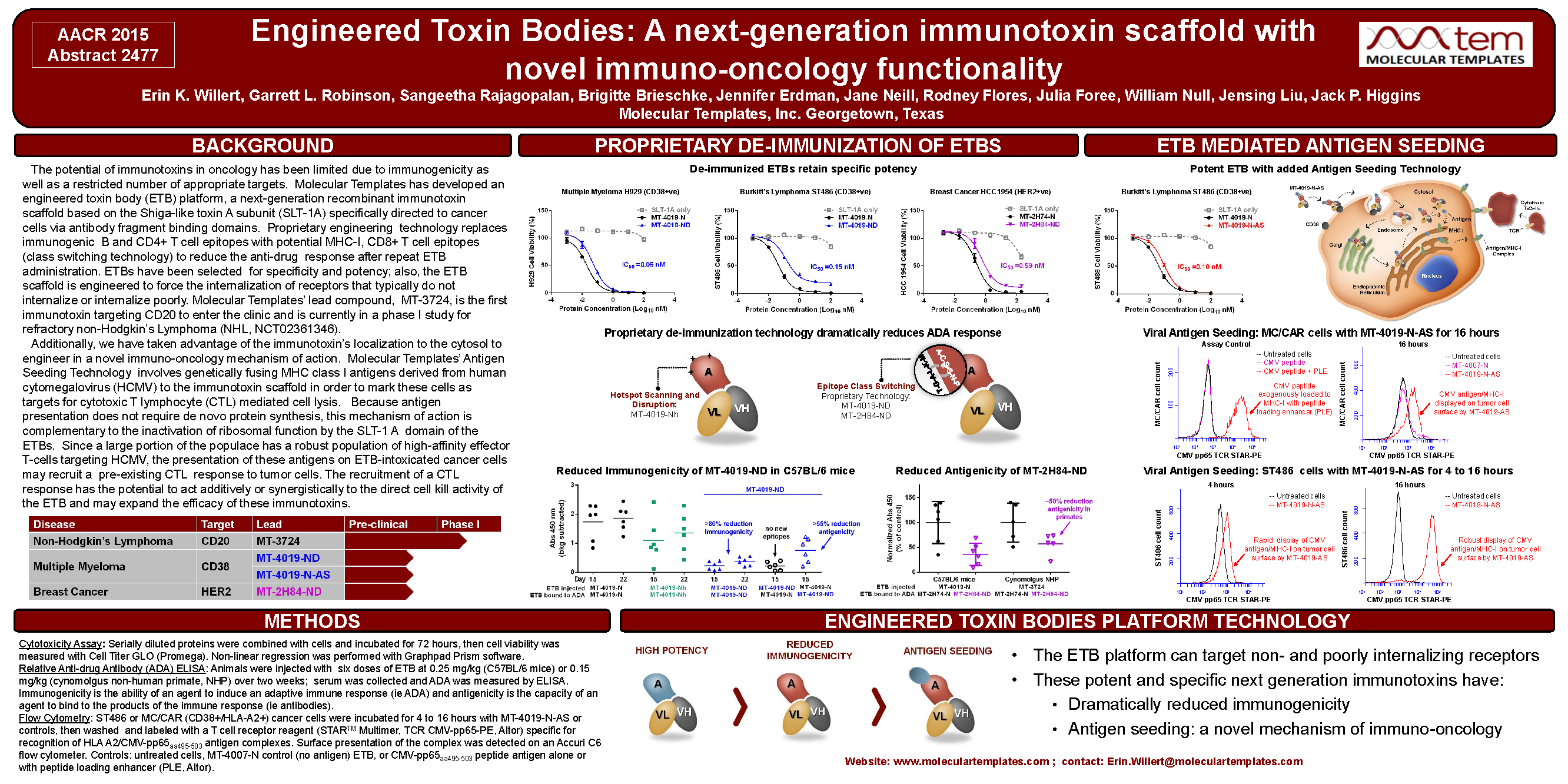 Molecular Template, AR Poster, Biologic Models, MT-3724