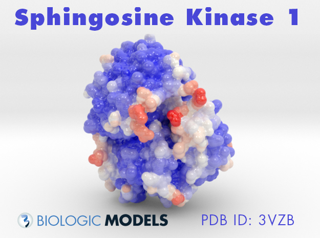 Sphingosine Kinase 1, 3VZB