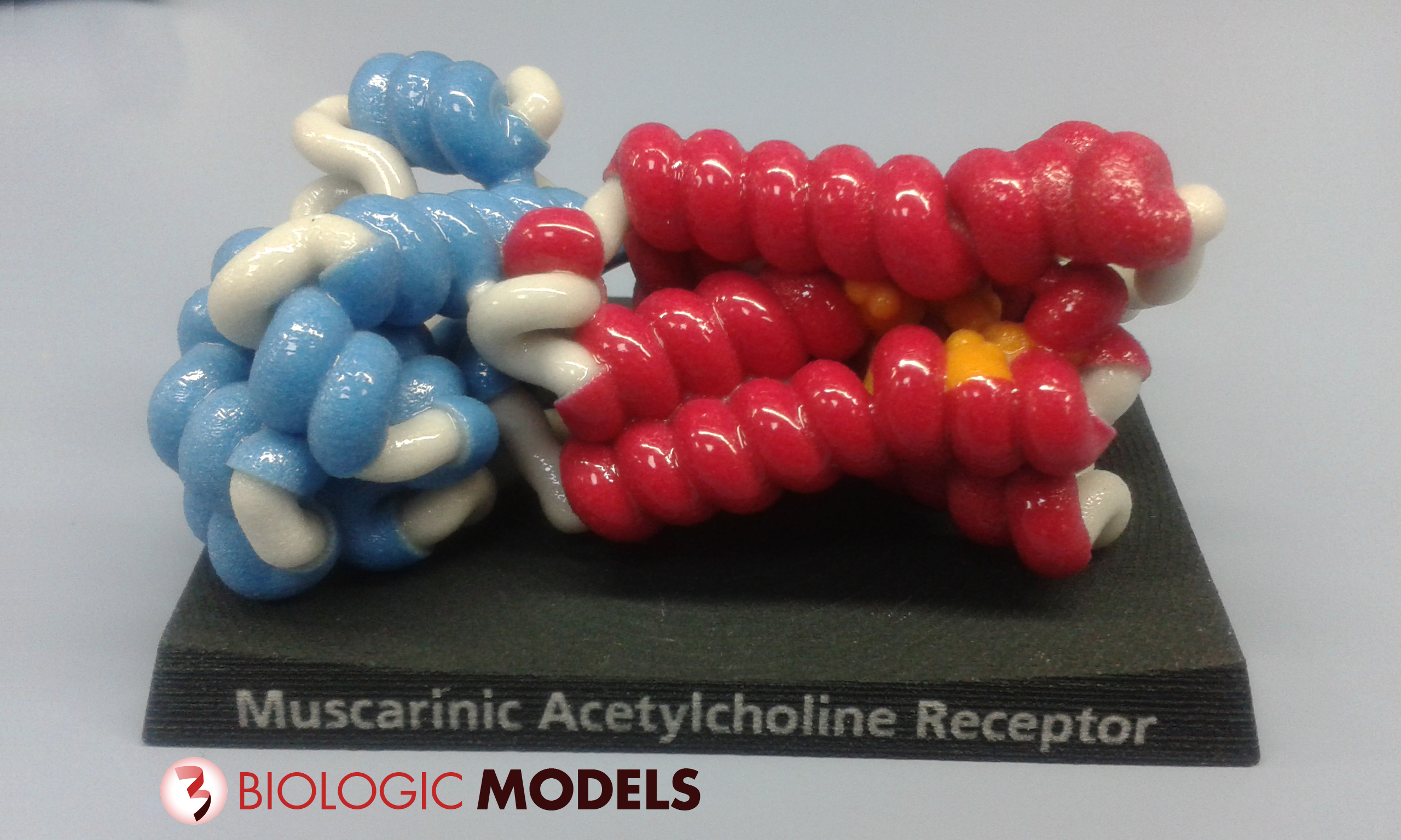 Muscarinic Receptor, 3UON, Biologic Models