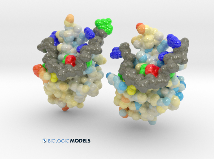 TDP-43, ALS, Biologic Models