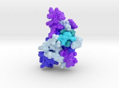 Human Prion Protein Surface 3d printed
