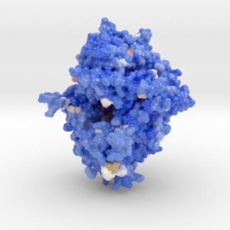 DPP-4 in Complex with Inhibitor 2RGU 3d printed