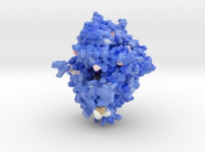 DPP-4 in Complex with Inhibitor 2RGU 3d printed