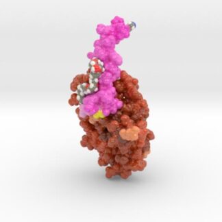 Victoza in Complex with GLP-1 Receptor 4ZGM 3d printed