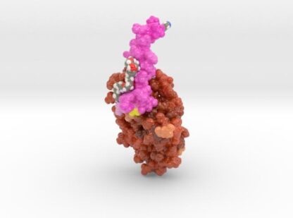 Victoza in Complex with GLP-1 Receptor 4ZGM 3d printed