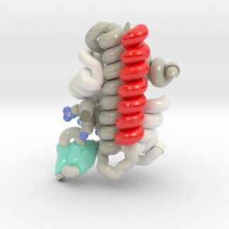 CENP-Histone Bound by Holiday Junction 3d printed