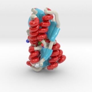 Ribose Binding Protein 2DRI 3d printed