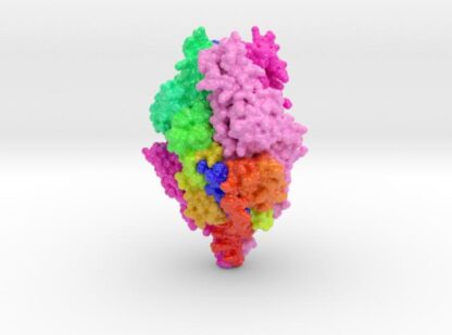 RSV Fusion Glycoprotein Prefusion 3d printed