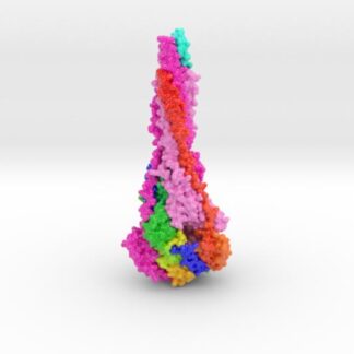RSV Fusion Glycoprotein Postfusion 3d printed