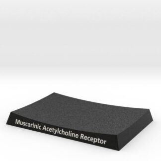 Muscarinic Receptor Base 3UON 3d printed