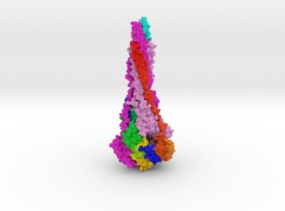 RSV Fusion Glycoprotein Postfusion 3d printed