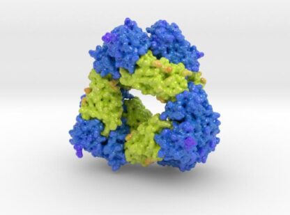 M.tuberculosis Toxin-antitoxin Complex MbcT-MbcA 3d printed