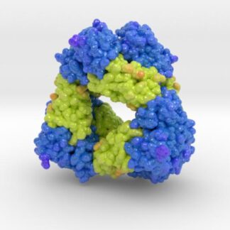 M.tuberculosis Toxin-antitoxin Complex MbcT-MbcA 3d printed