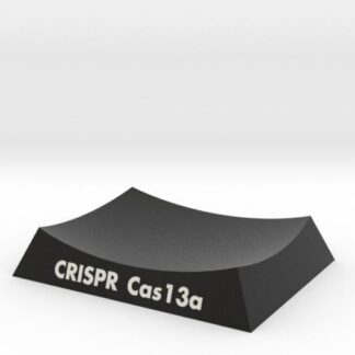 CRISPR-Cas13a Base 3d printed