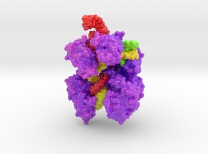 CRISPR-Cas9 in Complex with Guide RNA and Target D 3d printed
