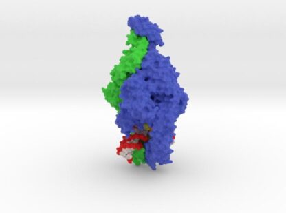 MutSbeta Complex 3THY 3d printed