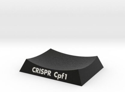 CRISPR Cpf1 AR Base 3d printed