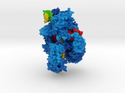 CRISPR-Cpf1 Complex with guide RNA and Target DNA 3d printed