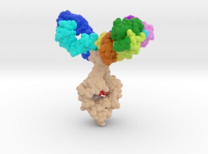 Trispecific Antibody (PRO) 3d printed