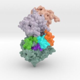 DXP Synthase-Closed 60UV 3d printed