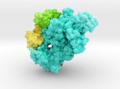 SARS-CoV-2 RNA Polymerase inhibited by Remdesivir 3d printed