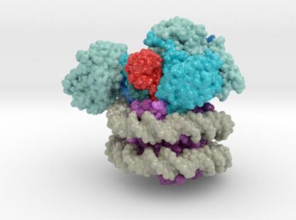 Nucleosome 6UH5 3d printed