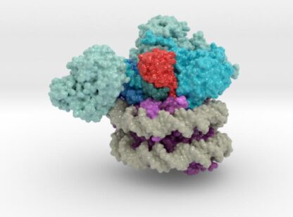 Nucleosome 6UH5 3d printed