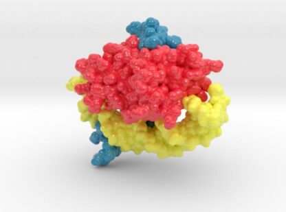 NF-Y Transcription Factor 4AWL 3d printed