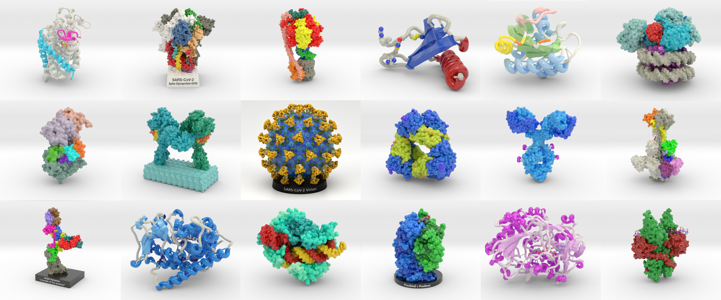 Protein Models