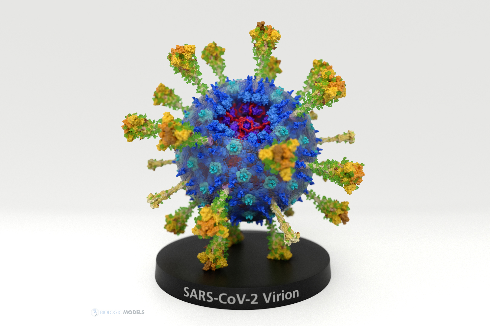 SARS-CoV-2_Virion_1