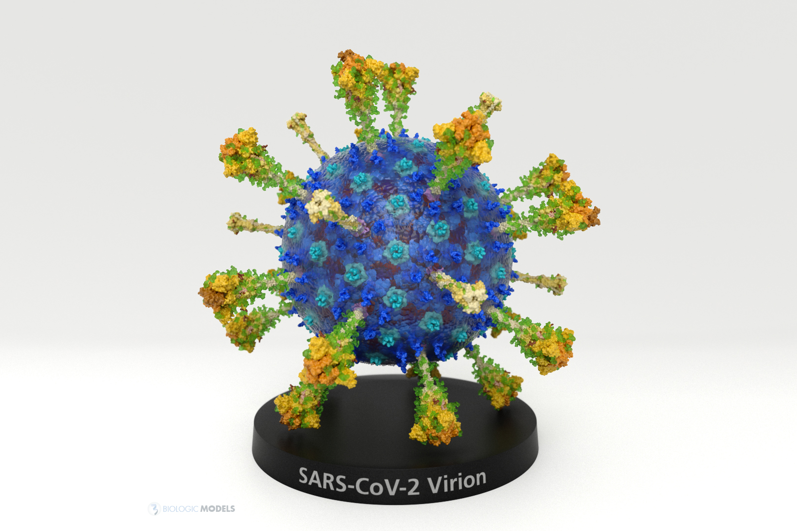 SARS-CoV-2_Virion_2