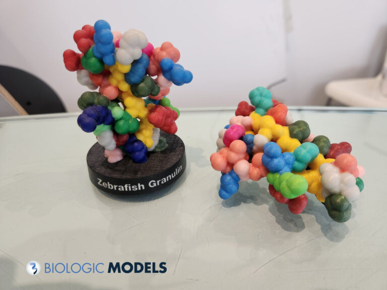 Biologic Models Home - Biologic Models